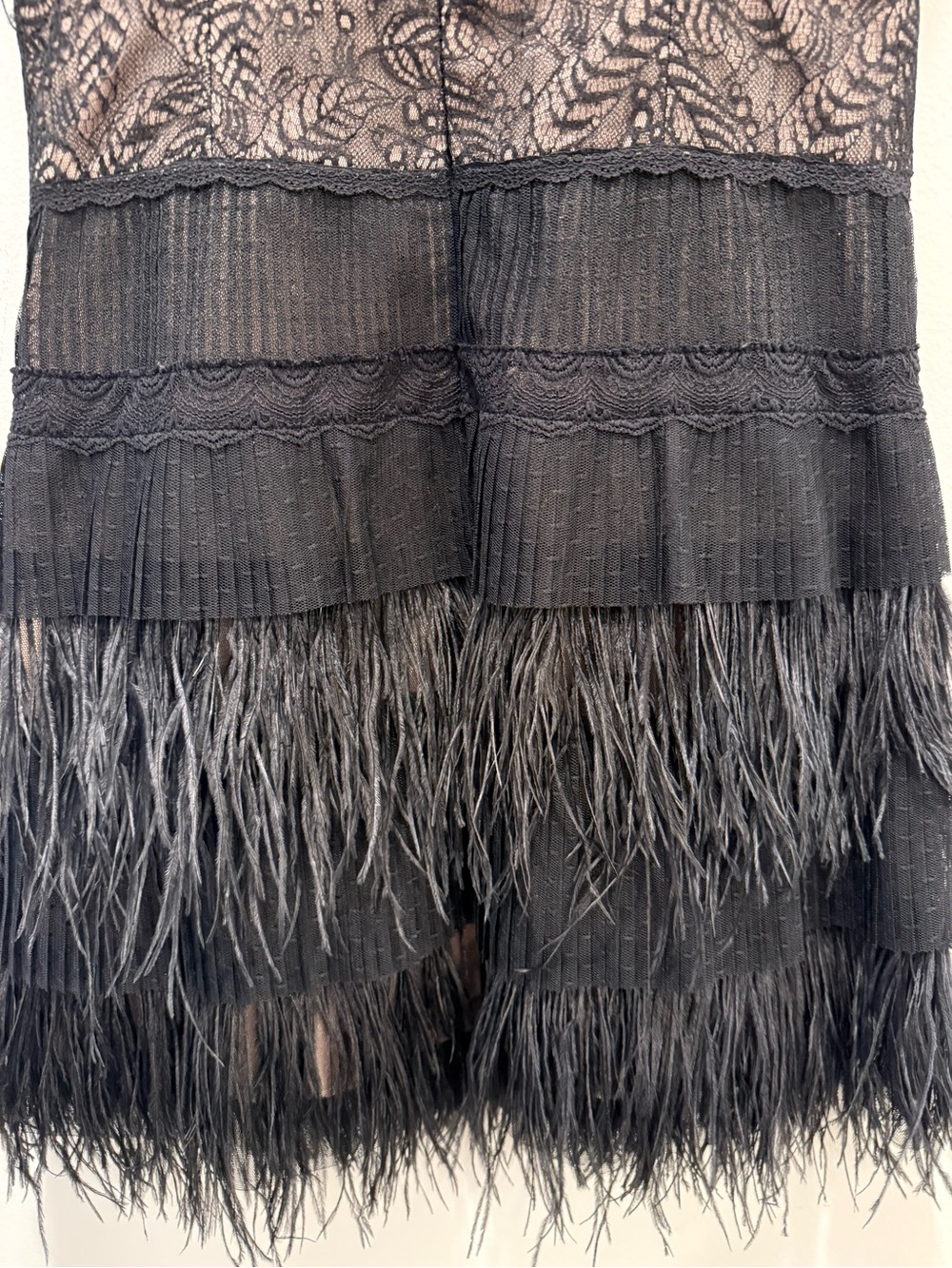 BCBGMaxAzria Black Lace and Fringe Mini Dress - Picture 4 of 7